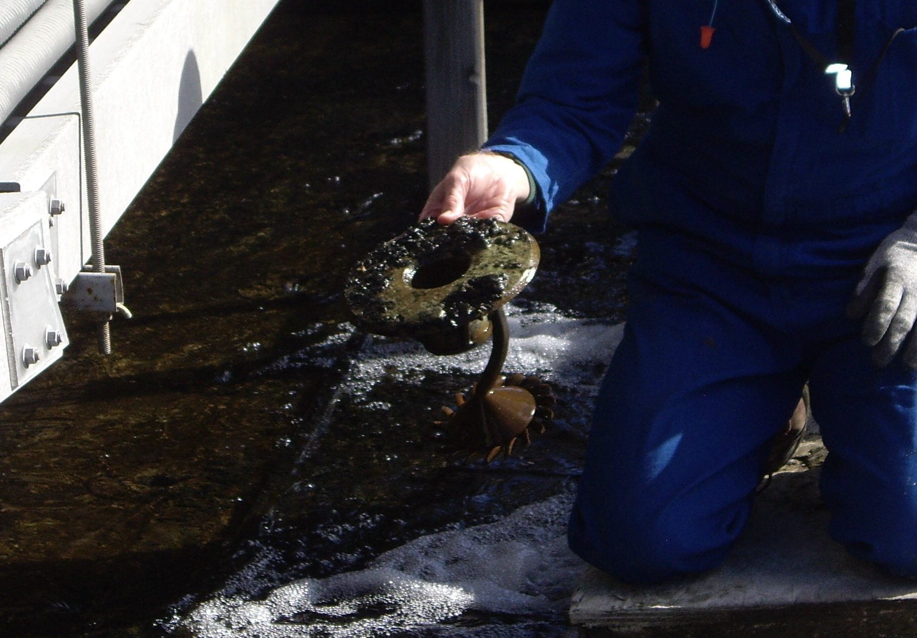 A cooling tower basin nozzle removed from a distribution basin, its splash plate and swirl insert caked in black biofilm and sludge.